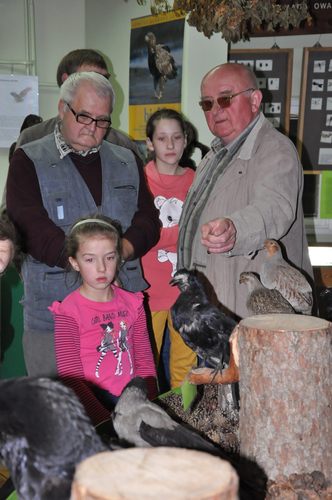 Co można robić nocą w muzeum? GALERIA