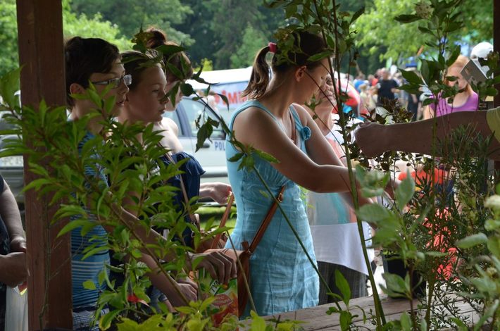 Zmieniaj nawyki ? nie klimat! GALERIA