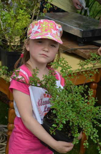 Zmieniaj nawyki ? nie klimat! GALERIA