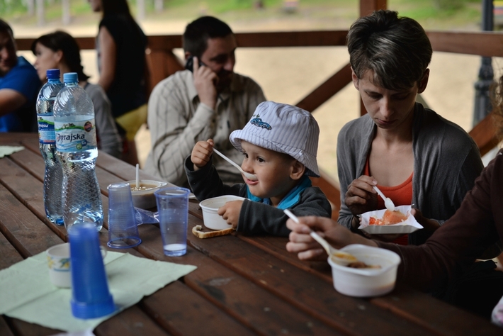 Tęczowa Łoboda - ZDJĘCIA