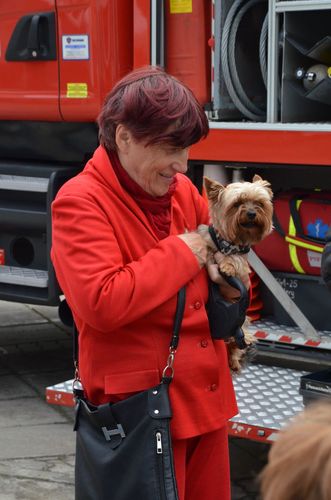 Marzenia jak gołębie, wzbiły się w niebo GALERIA