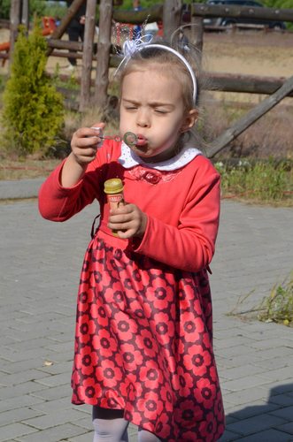 Na zielonej trawce w Klocku GALERIA