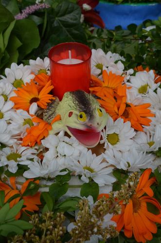 Siejące postrach czarownice i teatr ognia GALERIA