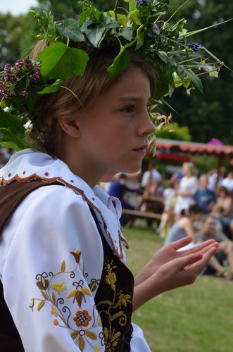 Trzeci wielki borowiacki pochód  GALERIA