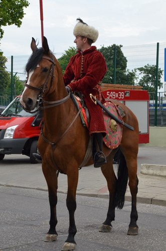 Trzeci wielki borowiacki pochód  GALERIA