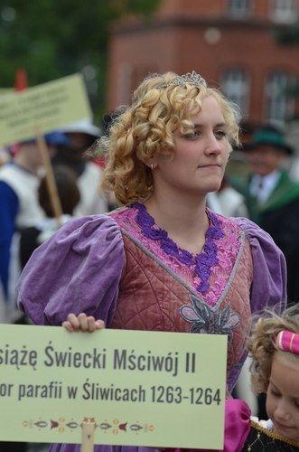 Trzeci wielki borowiacki pochód  GALERIA