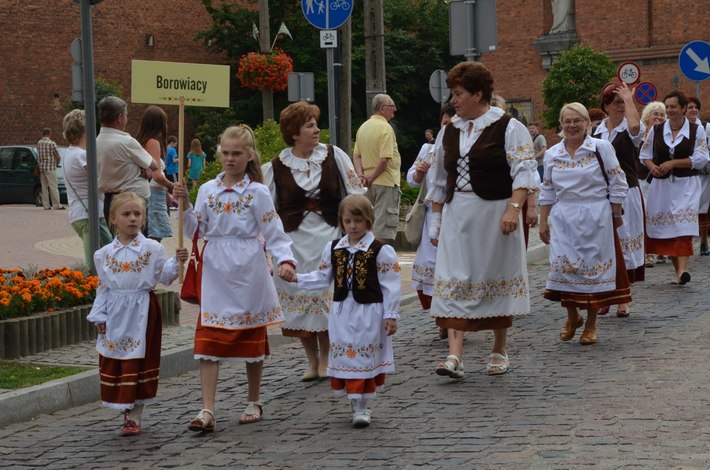Trzeci wielki borowiacki pochód  GALERIA