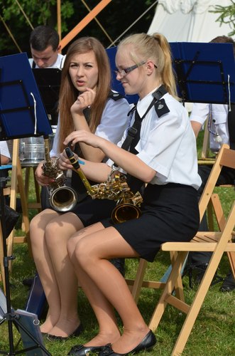 Trzeci wielki borowiacki pochód  GALERIA