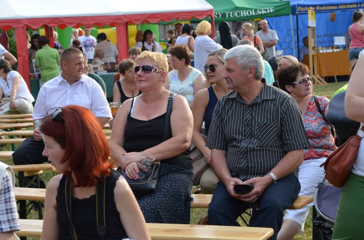 Trzeci wielki borowiacki pochód  GALERIA