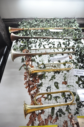 Człowiek z największymi... rogami  ZDJĘCIA