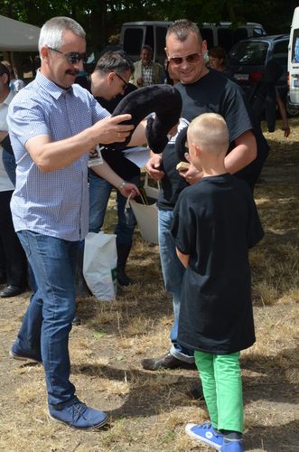 Z miłości do starych pojazdów GALERIA