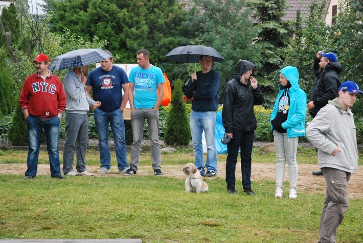 Modele pływające w Lińsku  ZDJĘCIA