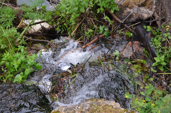 Jak ładnie może być na wojence GALERIA