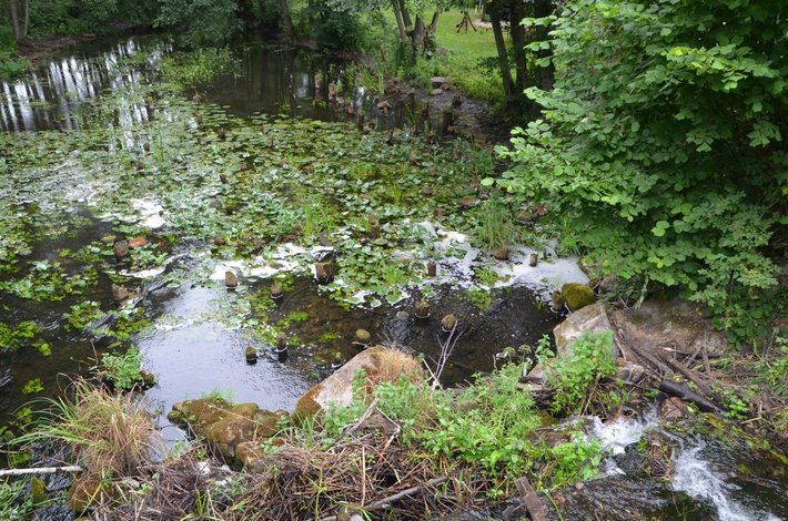 Jak ładnie może być na wojence GALERIA
