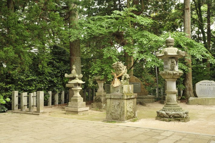 TYLKO U NAS! Tucholanin reprezentował kraj w Japonii! OGROMNA GALERIA