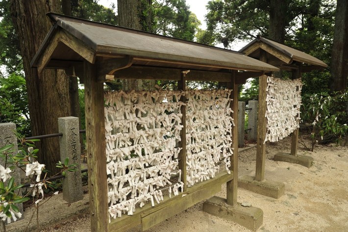 TYLKO U NAS! Tucholanin reprezentował kraj w Japonii! OGROMNA GALERIA