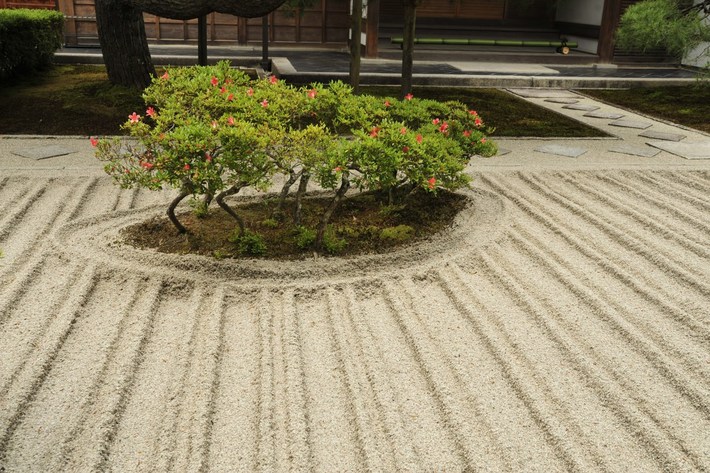 TYLKO U NAS! Tucholanin reprezentował kraj w Japonii! OGROMNA GALERIA