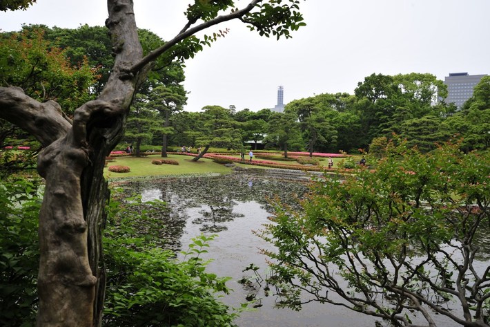 TYLKO U NAS! Tucholanin reprezentował kraj w Japonii! OGROMNA GALERIA