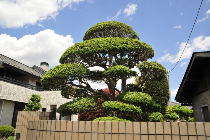 TYLKO U NAS! Tucholanin reprezentował kraj w Japonii! OGROMNA GALERIA
