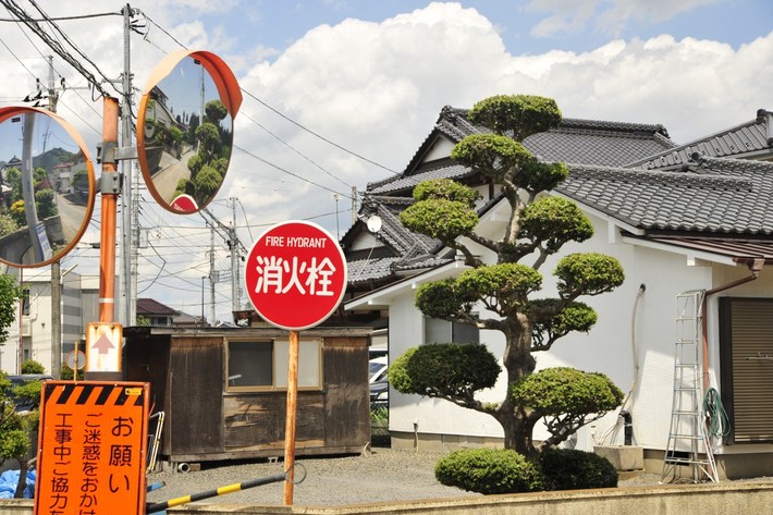 TYLKO U NAS! Tucholanin reprezentował kraj w Japonii! OGROMNA GALERIA