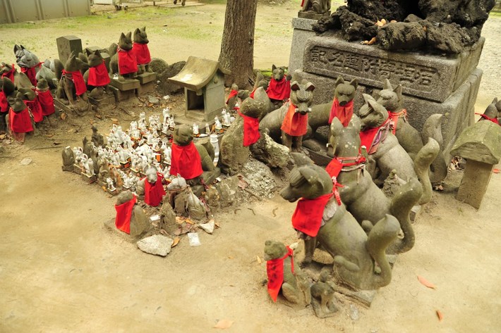 TYLKO U NAS! Tucholanin reprezentował kraj w Japonii! OGROMNA GALERIA