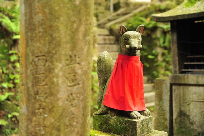 TYLKO U NAS! Tucholanin reprezentował kraj w Japonii! OGROMNA GALERIA