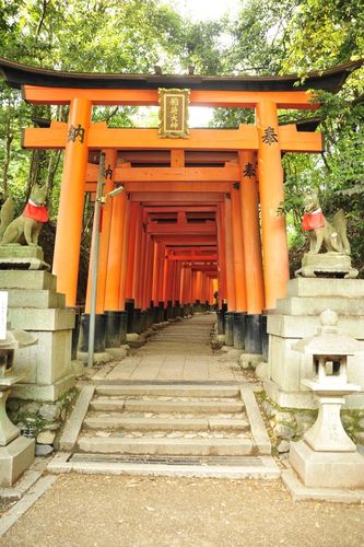 TYLKO U NAS! Tucholanin reprezentował kraj w Japonii! OGROMNA GALERIA