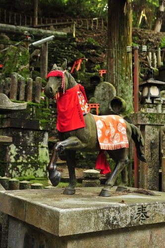 TYLKO U NAS! Tucholanin reprezentował kraj w Japonii! OGROMNA GALERIA