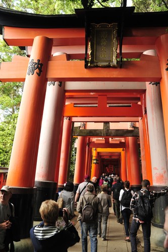 TYLKO U NAS! Tucholanin reprezentował kraj w Japonii! OGROMNA GALERIA