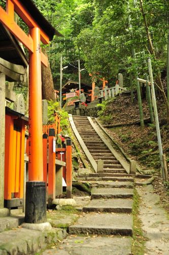 TYLKO U NAS! Tucholanin reprezentował kraj w Japonii! OGROMNA GALERIA