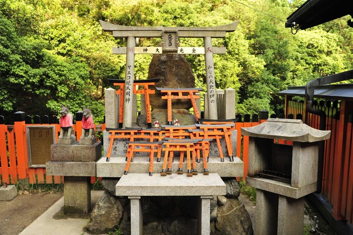 TYLKO U NAS! Tucholanin reprezentował kraj w Japonii! OGROMNA GALERIA