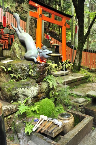 TYLKO U NAS! Tucholanin reprezentował kraj w Japonii! OGROMNA GALERIA