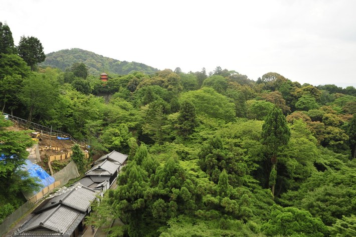 TYLKO U NAS! Tucholanin reprezentował kraj w Japonii! OGROMNA GALERIA