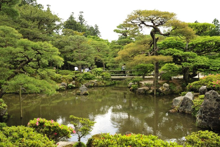 TYLKO U NAS! Tucholanin reprezentował kraj w Japonii! OGROMNA GALERIA