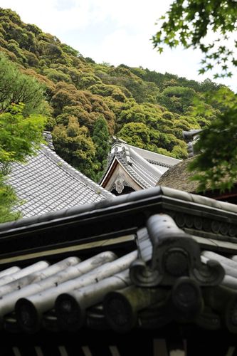 TYLKO U NAS! Tucholanin reprezentował kraj w Japonii! OGROMNA GALERIA