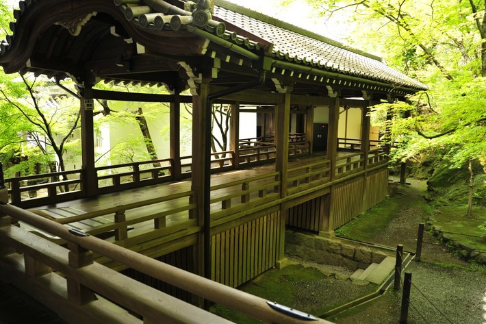 TYLKO U NAS! Tucholanin reprezentował kraj w Japonii! OGROMNA GALERIA