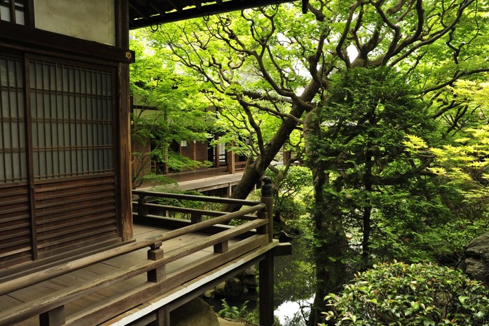 TYLKO U NAS! Tucholanin reprezentował kraj w Japonii! OGROMNA GALERIA