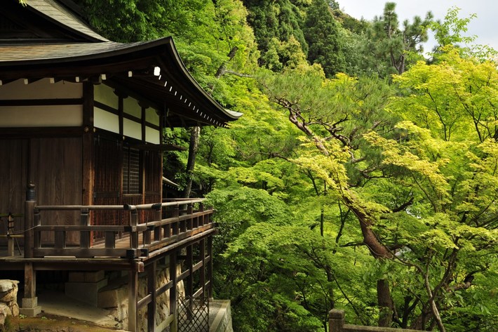 TYLKO U NAS! Tucholanin reprezentował kraj w Japonii! OGROMNA GALERIA