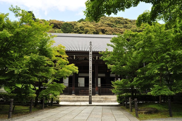 TYLKO U NAS! Tucholanin reprezentował kraj w Japonii! OGROMNA GALERIA