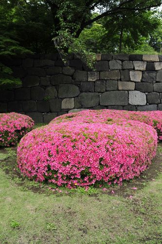 TYLKO U NAS! Tucholanin reprezentował kraj w Japonii! OGROMNA GALERIA
