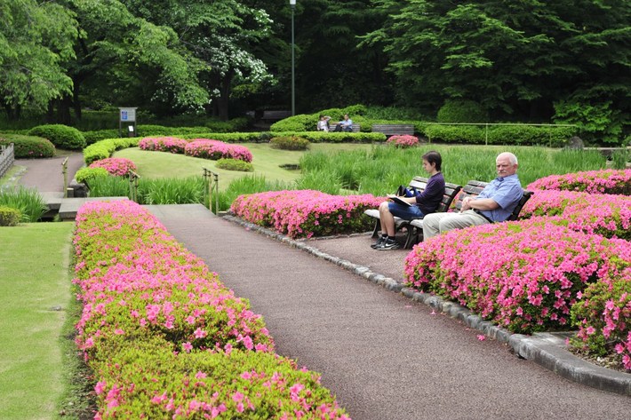 TYLKO U NAS! Tucholanin reprezentował kraj w Japonii! OGROMNA GALERIA