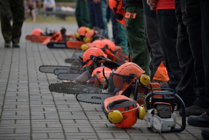 Rżnęli, aż miło... popatrzeć - ZDJĘCIA