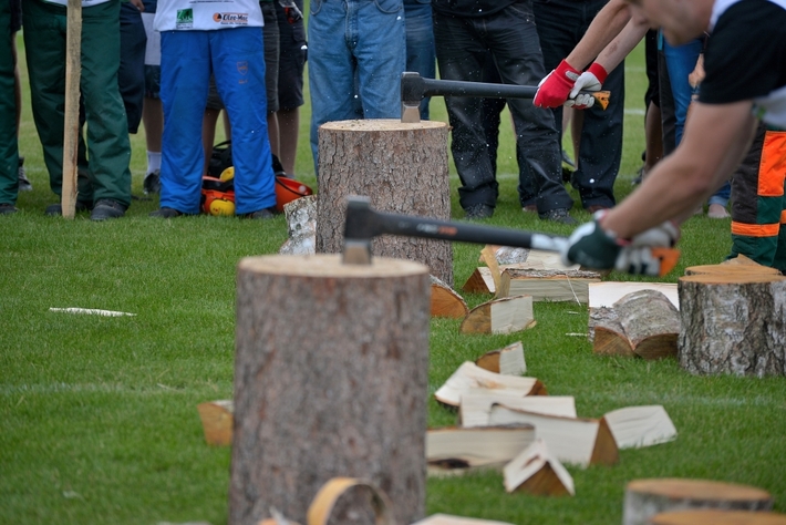 Rżnęli, aż miło... popatrzeć - ZDJĘCIA