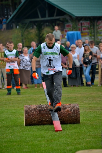 Rżnęli, aż miło... popatrzeć - ZDJĘCIA