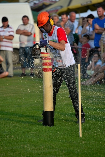 Rżnęli, aż miło... popatrzeć - ZDJĘCIA
