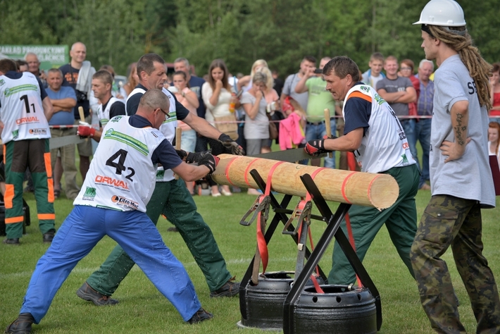 Rżnęli, aż miło... popatrzeć - ZDJĘCIA