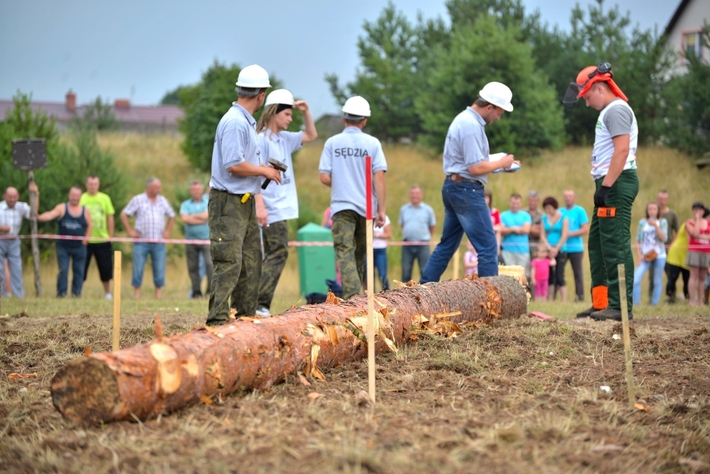 Rżnęli, aż miło... popatrzeć - ZDJĘCIA