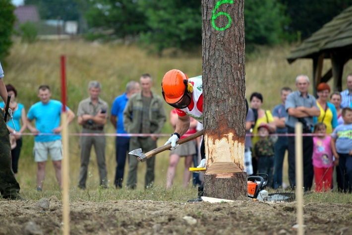 Rżnęli, aż miło... popatrzeć - ZDJĘCIA