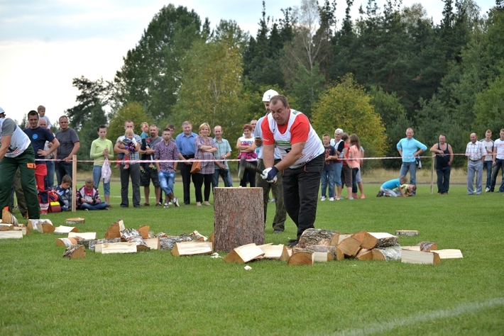 Rżnęli, aż miło... popatrzeć - ZDJĘCIA