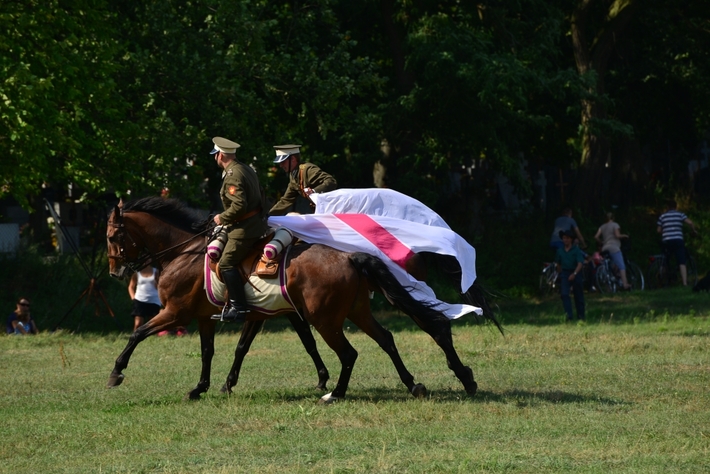 Konie opanowały Śliwice - ZDJĘCIA